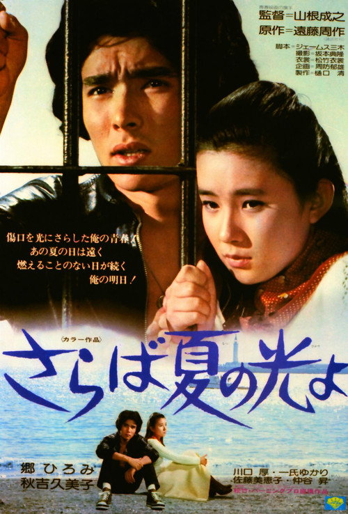 Light And Shade Of Youth poster