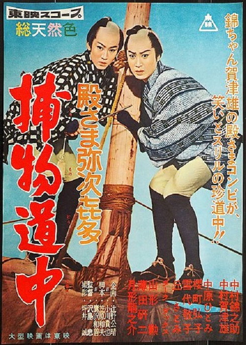 Diary Of A Wandering Lord poster