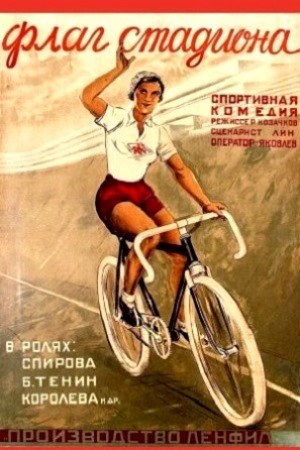 Прапор стадіону poster