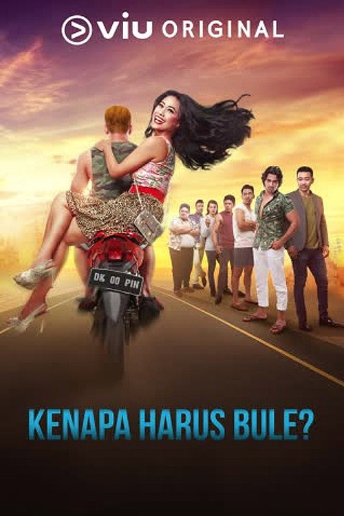 Ugly Stupid Love poster