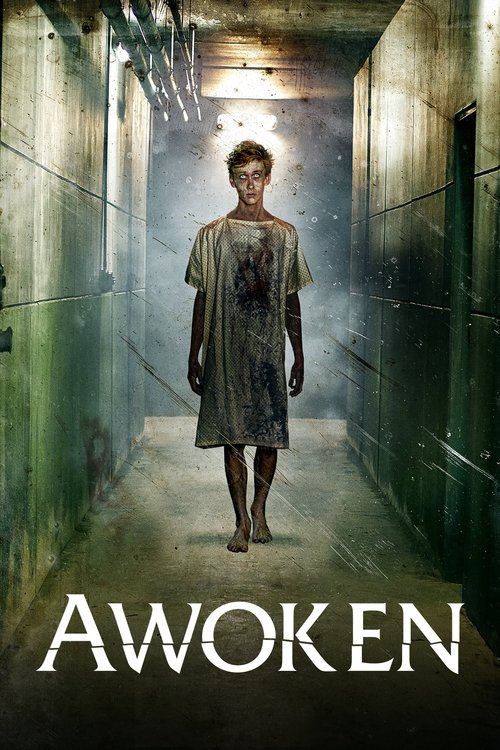 Woken poster