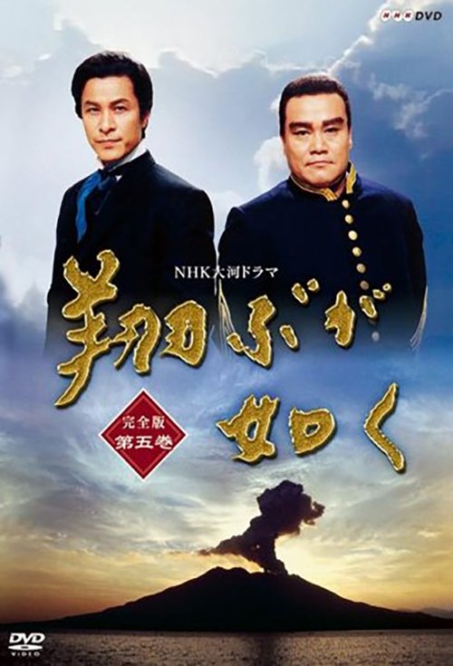 As If in Flight poster