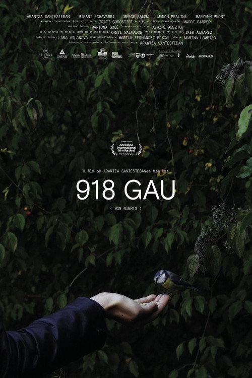 918 nights poster
