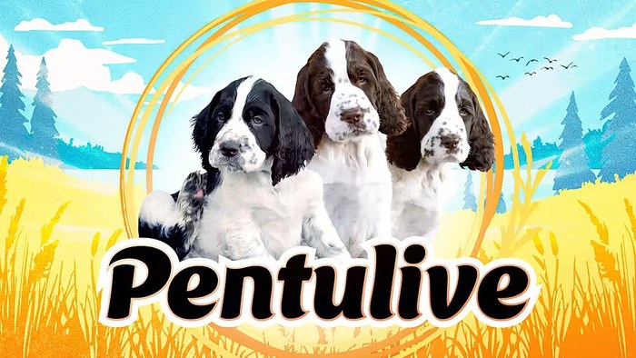 Pentulive poster