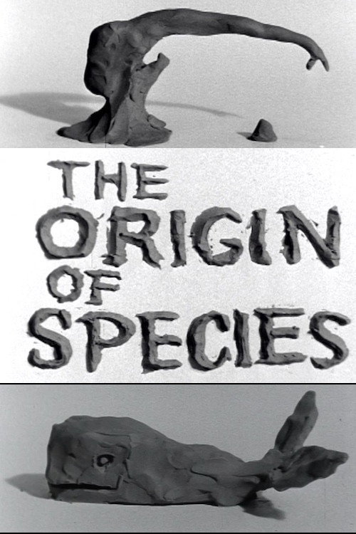 Clay or the Origin of Species poster