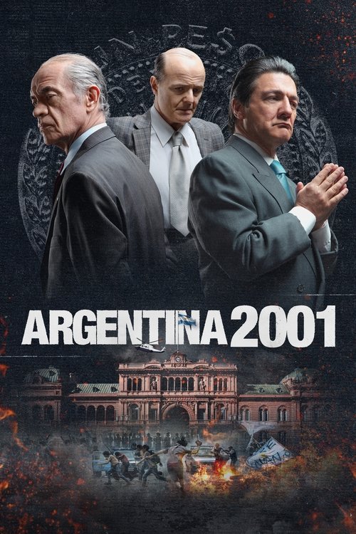 Diciembre 2001 poster
