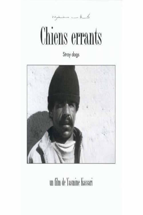 Chiens errants poster