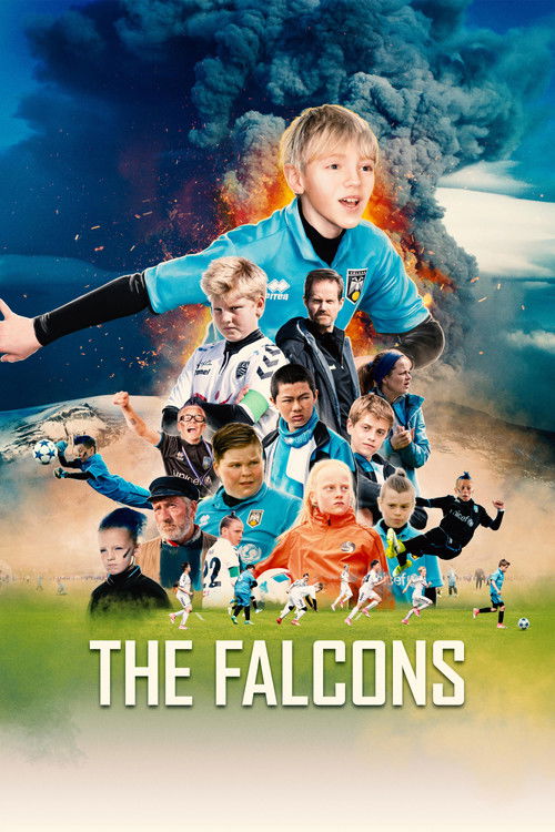 Falcons poster