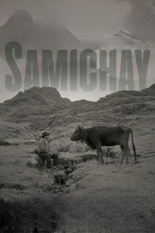 Samichay, In Search of Happiness poster