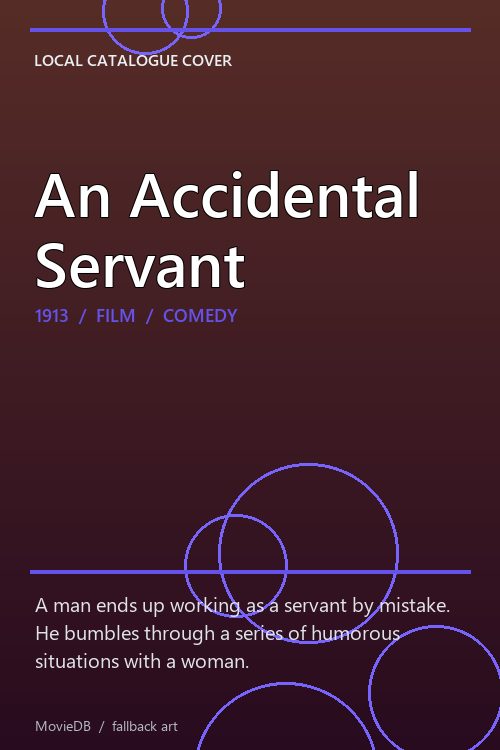 An Accidental Servant poster