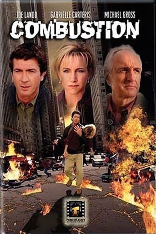 Combustion poster