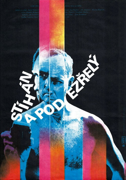 Stíhán a podezrelý poster