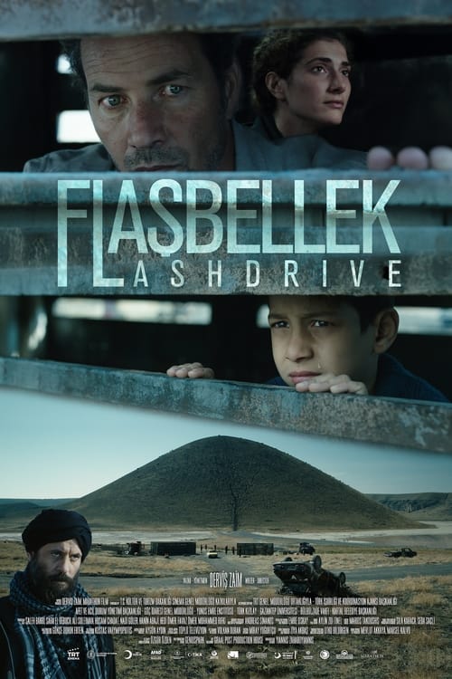 Flash Drive poster