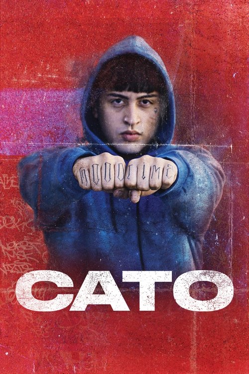 Cato poster
