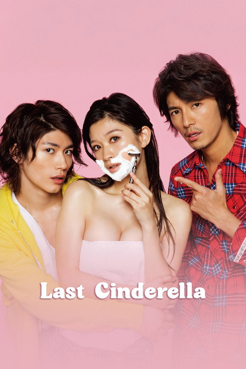 Last Cinderella poster