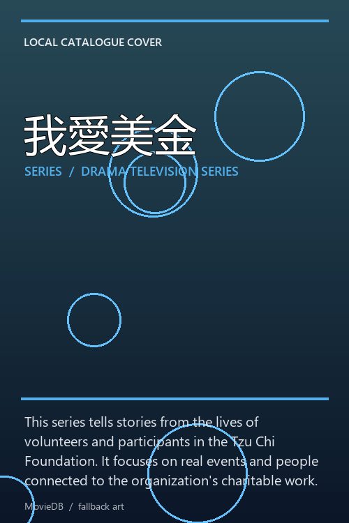 我愛美金 poster