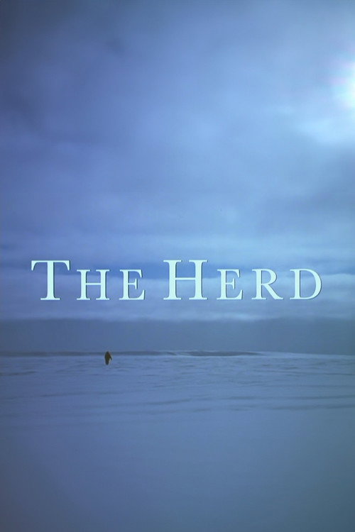 The Herd poster