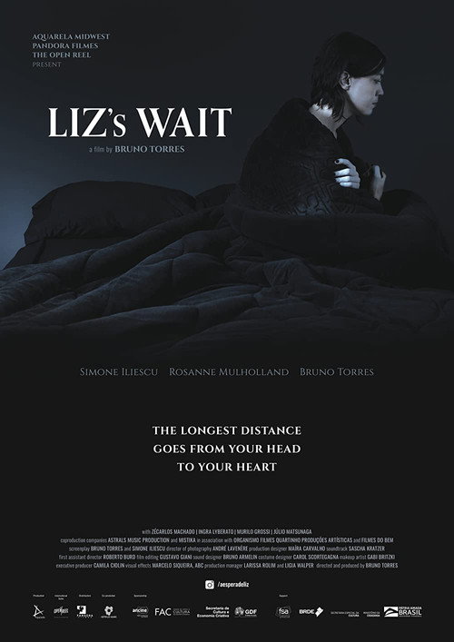A Espera de Liz poster