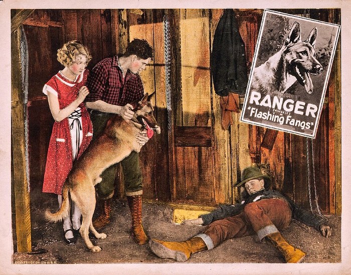 Flashing Fangs poster