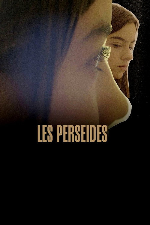 Les Perseides poster