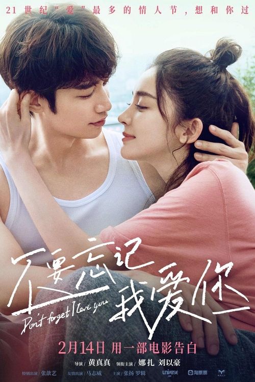 Don't Forget I Love You poster