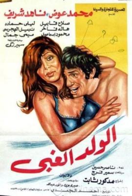 Stupid Boy poster