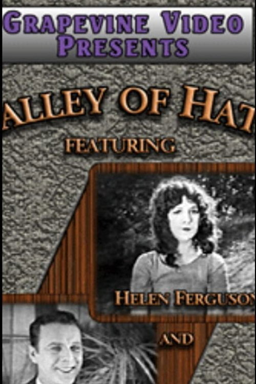 The Valley of Hate poster