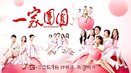 Family Reunion poster