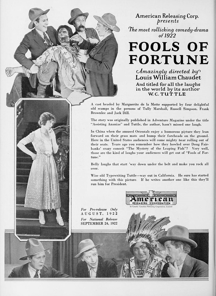 Fools of Fortune poster