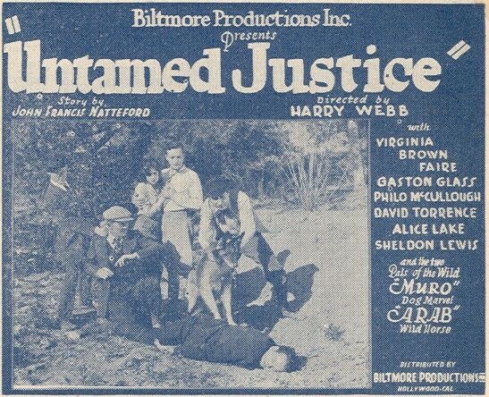 Untamed Justice poster
