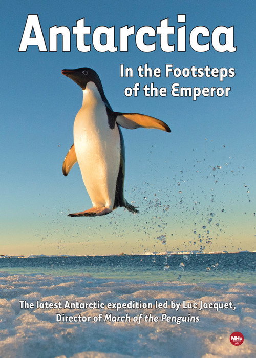 Antarctica: Following the Emperor's Paths poster