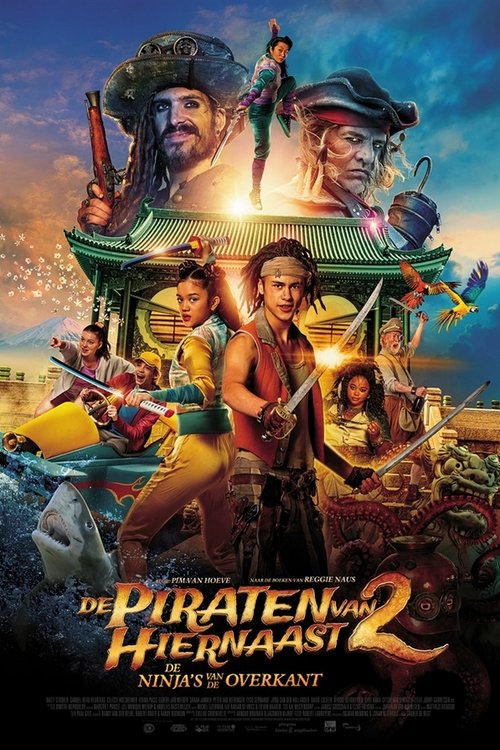 Pirates Down the Street 2 poster