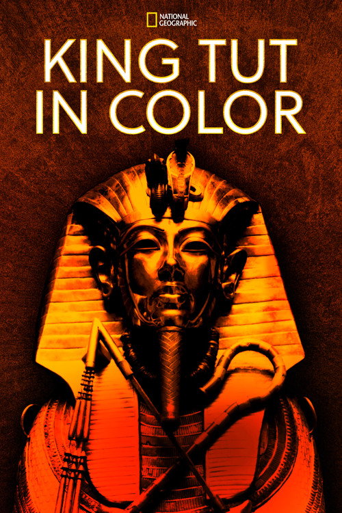 Tutankhamun in Colour poster