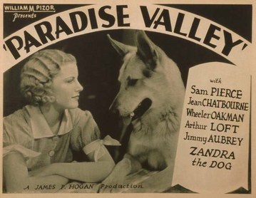 Paradise Valley poster