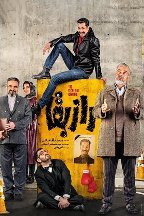 Raze Baghaa poster