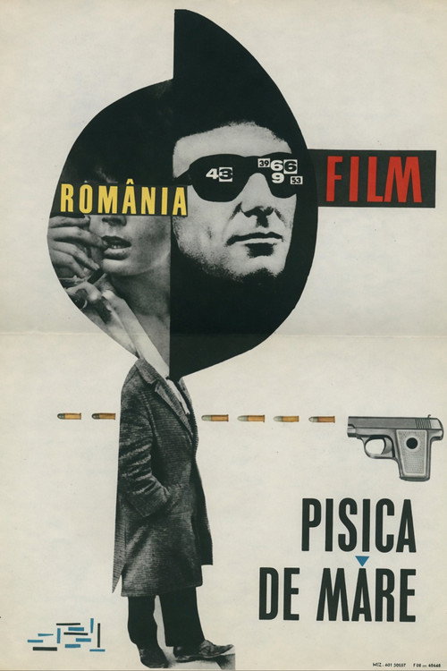 Pisica de mare poster