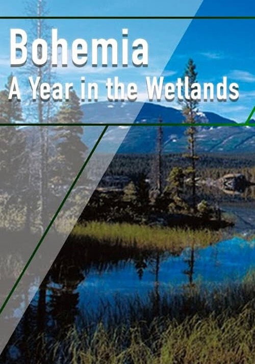 Bohemia: A Year in the Wetlands poster