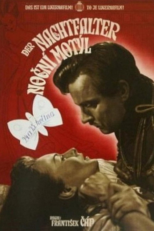 Nocturnal Butterfly poster