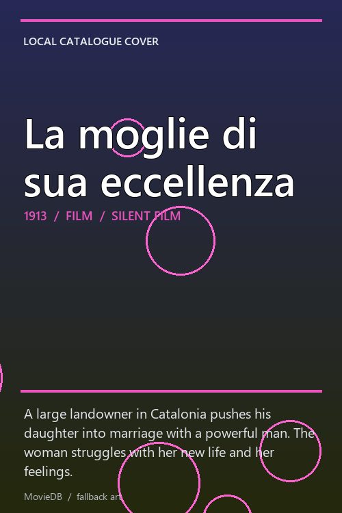 La moglie di sua eccellenza poster