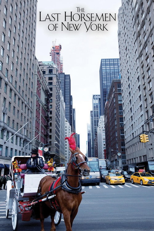 The Last Horsemen of New York poster