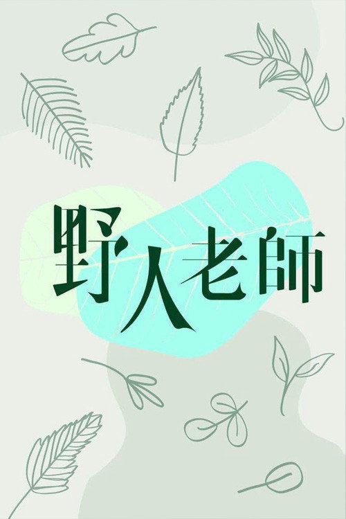 Into the Wild poster