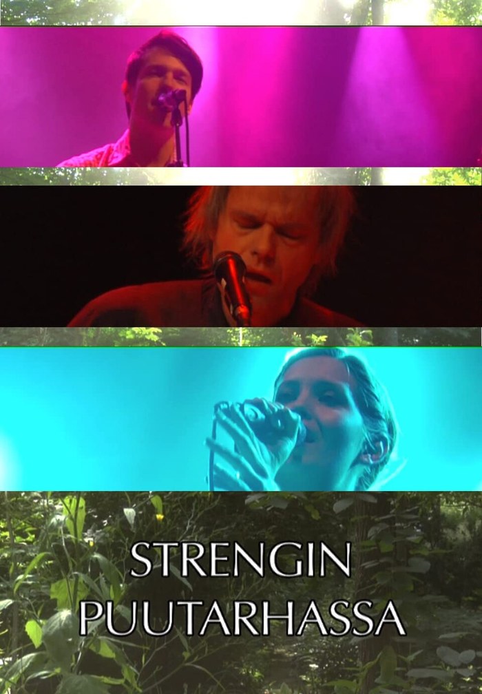 Strengin puutarhassa (2009) poster