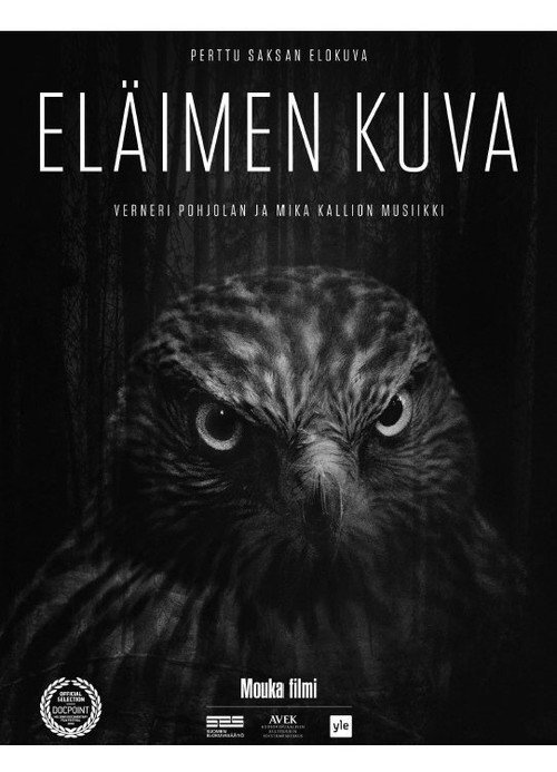 Animal Image (Short 2018) poster