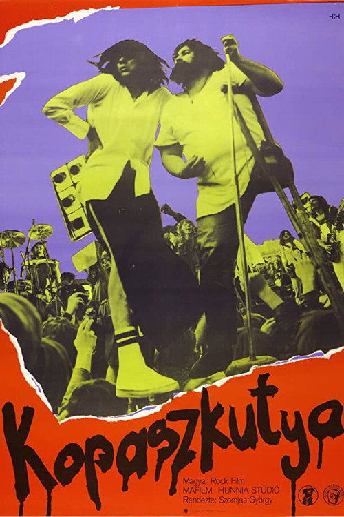 Kopaszkutya poster