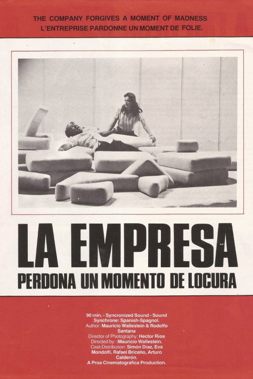 La empresa perdona un momento de locura poster