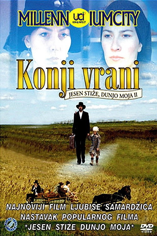 Black Horses poster