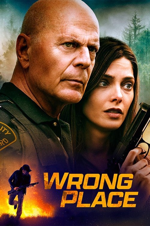 The Wrong Place poster