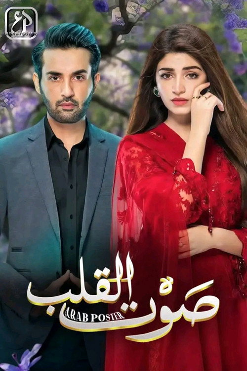 Dil Awaiz poster