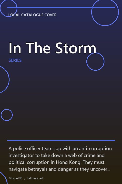 In The Storm poster