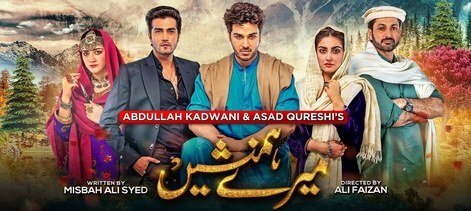 Meray Humnasheen poster